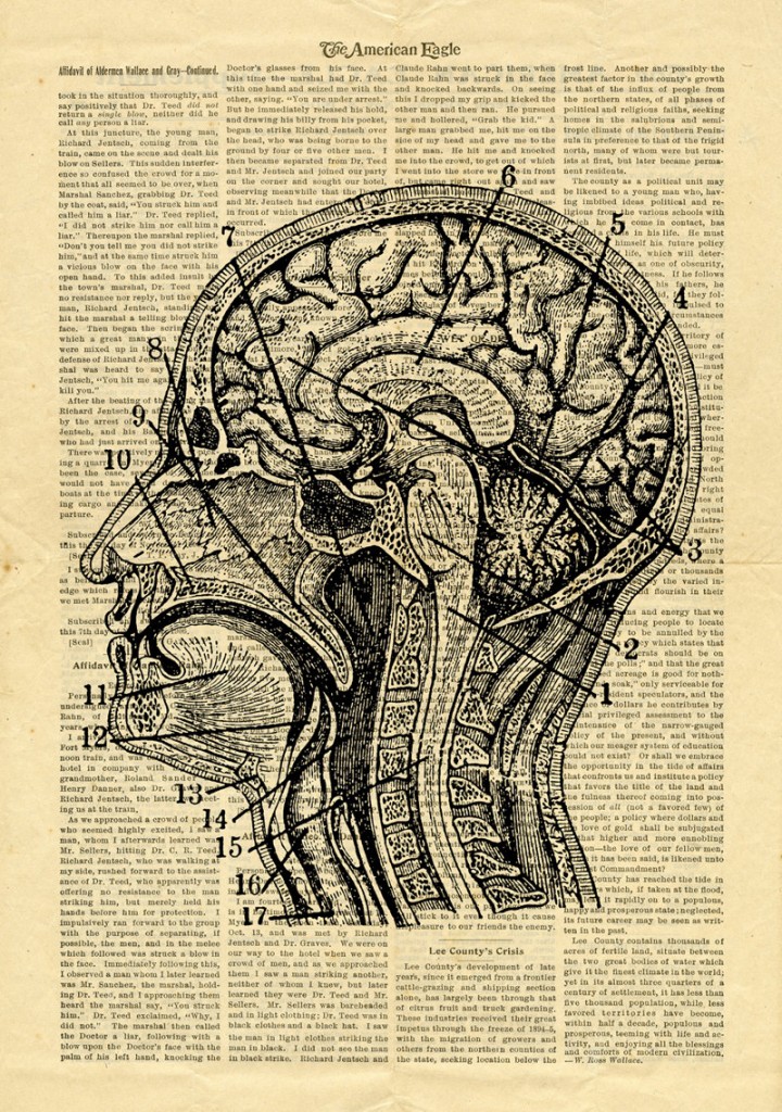 brain-paper
