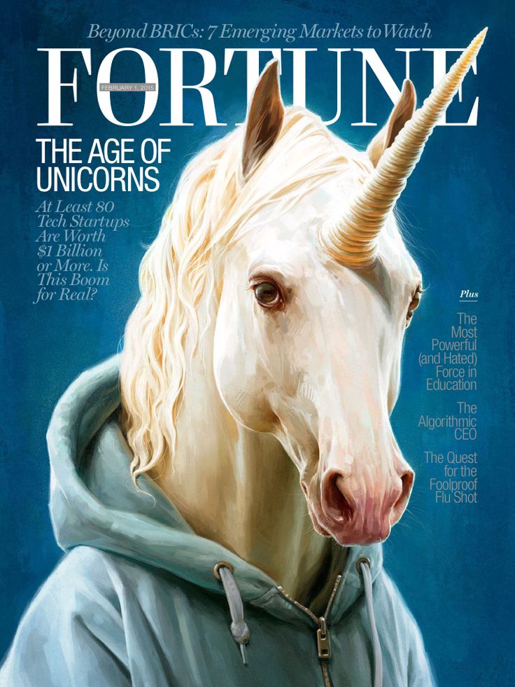 Unicorn-Fortune-Mag