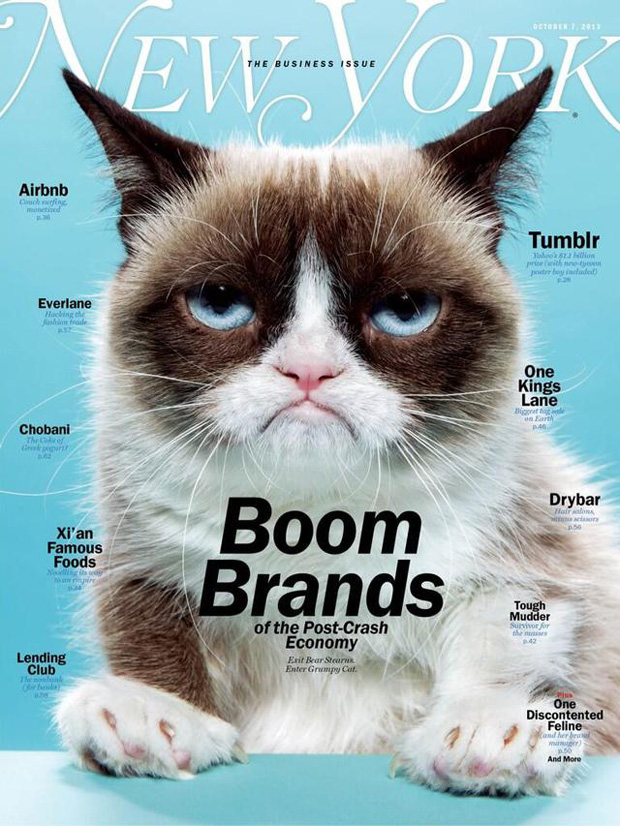 new-york-magazine-grumpy-cat